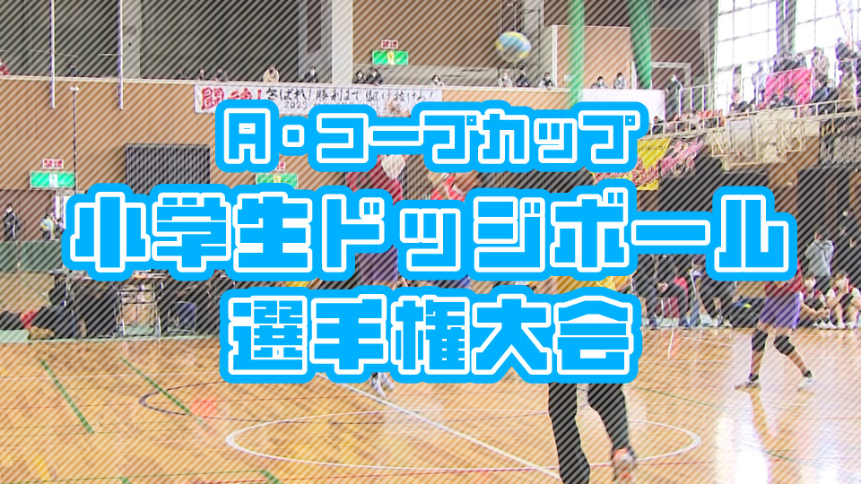 小学生ドッジボール選手権大会