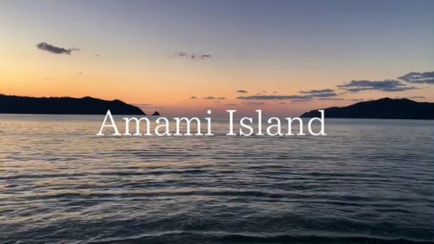 Amami Island