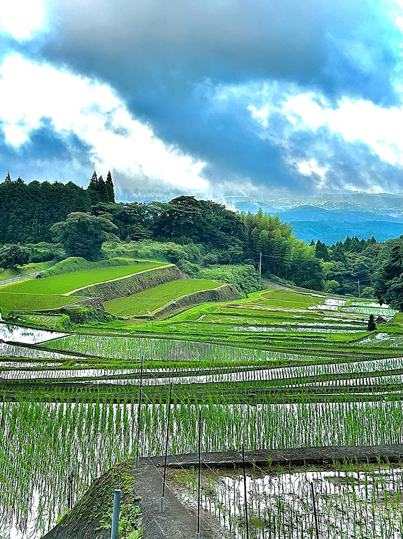 郡山地域