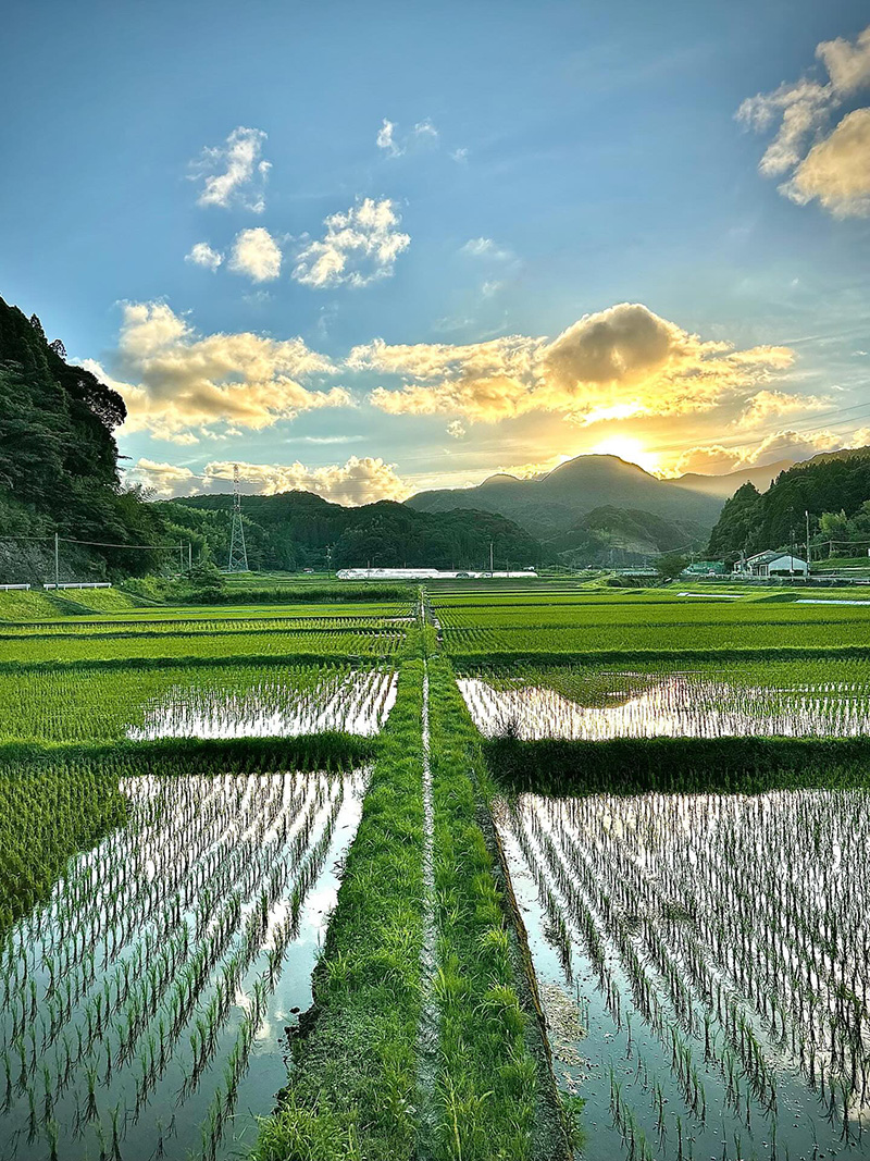 吉田地域2